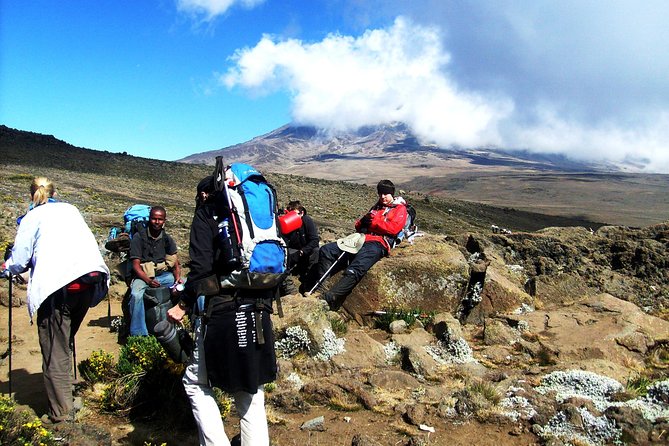 Lemosho Route 8 Days 7 Nights/Kilimanjaro Climb - Why the eight-day Lemosho schedule makes sense