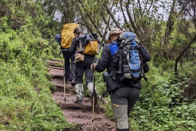 Lemosho Route 8 Days Kilimanjaro Climbing Tour - Day 2: Shira Ridge and the open Shira Plateau
