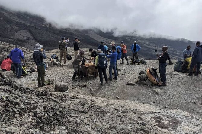 Lemosho Route 8 Days Kilimanjaro Climbing Tour - Day 3: Shira II and the Lent Hills