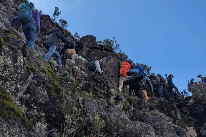 Lemosho Route 8 Days Kilimanjaro Climbing Tour - Day 7: Stella Point, Uhuru Peak, and Mweka Camp