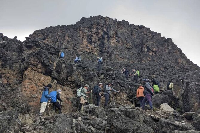 Lemosho Route 8 Days Kilimanjaro Climbing Tour - Day 1: Lemosho Gate to Mti Mkubwa Camp