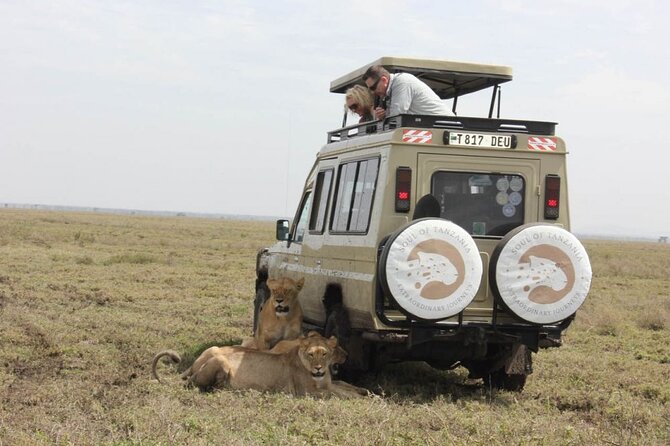 Living Among Lions - Day Two: The Long Road Into the Serengeti