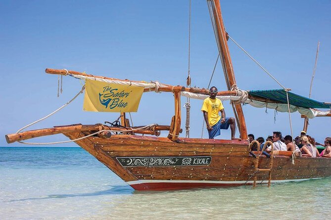 Luxury Swimming with DOLPHINS IN MNEMBA and LUNCH - Key points to know before you book