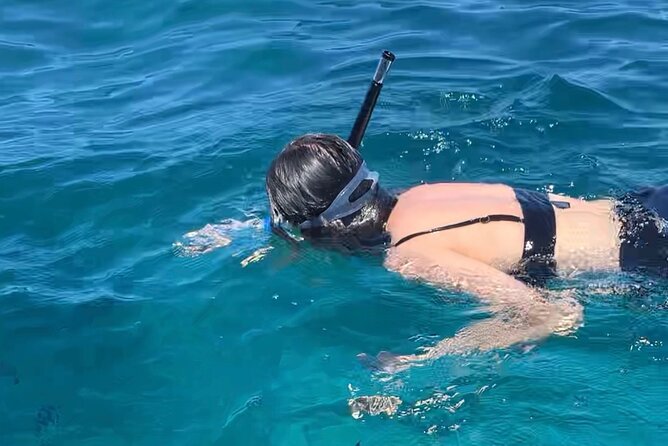 Luxury Swimming with DOLPHINS IN MNEMBA and LUNCH - Snorkeling with equipment supplied