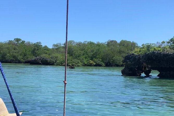 Luxury Swimming with DOLPHINS IN MNEMBA and LUNCH - The sandbank stop and tropical fruit