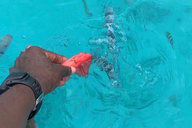 Luxury Swimming with DOLPHINS IN MNEMBA and LUNCH - Lunch on the beach, with one important warning