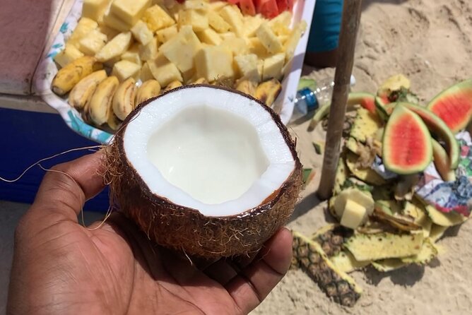 Luxury Swimming with DOLPHINS IN MNEMBA and LUNCH - What the $130 price means