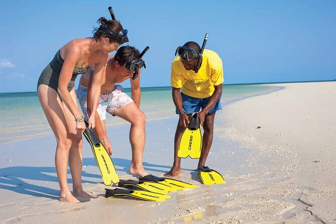 Luxury Swimming with DOLPHINS IN MNEMBA and LUNCH - Searching for dolphins near Mnemba