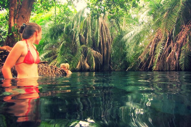 Maasai village visit and chemka hot-springs with hot lunch - What the Maasai visit can and cannot show you