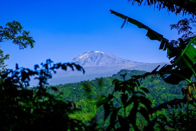 Maasai village visit, Materuni waterfalls & coffee experience - Making coffee from bean to cup