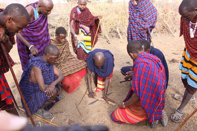 Maasai village visit, Materuni waterfalls & coffee experience - What the tour does not include