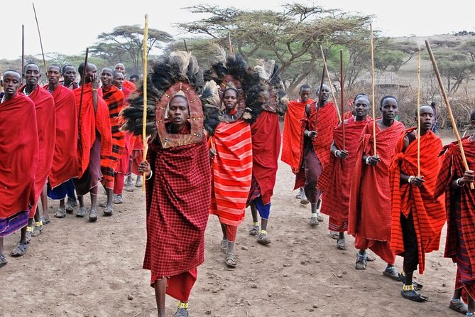 Maasai village visit, Materuni waterfalls & coffee experience - Guides, comfort, and group size