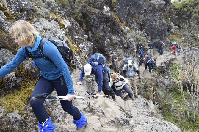 Machame Route 6 days 5 Nights/Kilimanjaro Climb - The route in context: why Machame suits many climbers