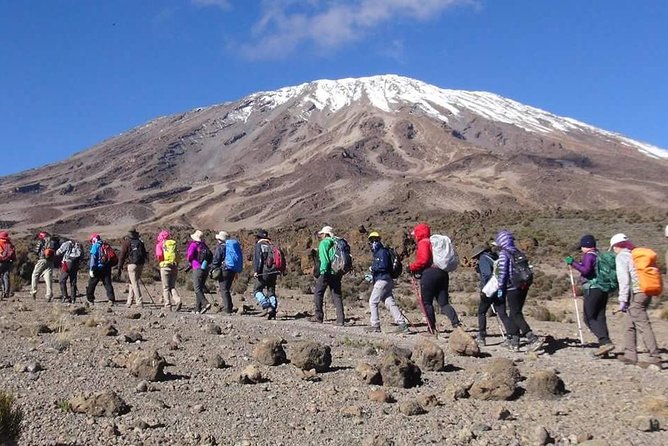 Machame Route 6 days 5 Nights/Kilimanjaro Climb - Day 3: Lava Tower, the Shark’s Tooth, and Barranco