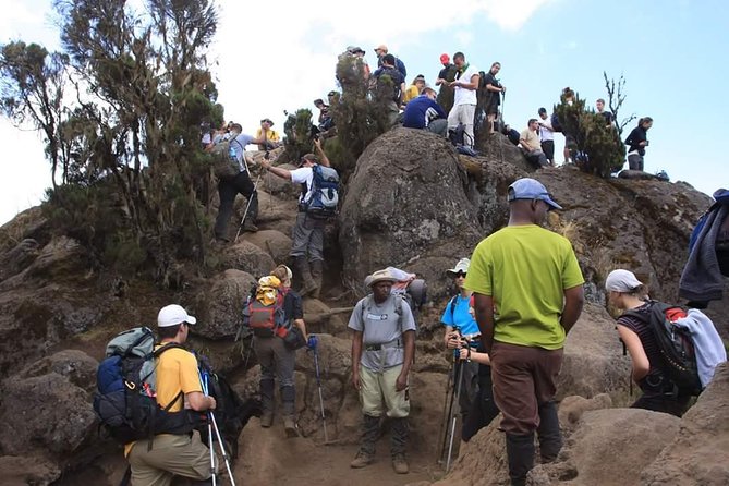 Machame Route 6 days 5 Nights/Kilimanjaro Climb - Day 4: Barranco Wall to Barafu Camp