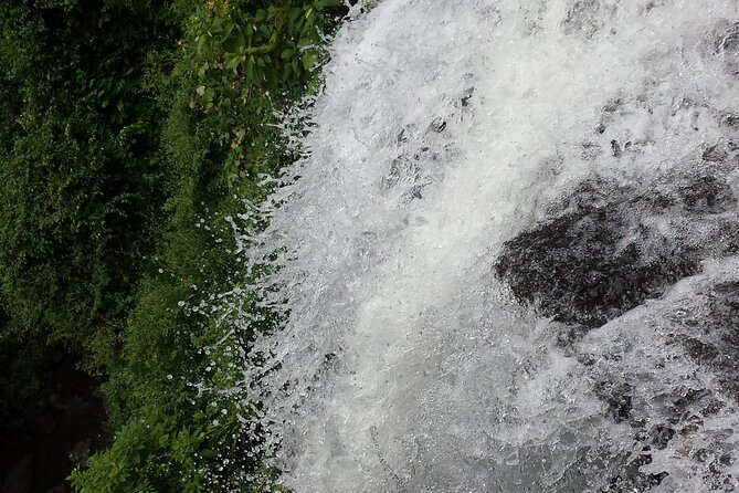 machame route - The guides and porters make the difference