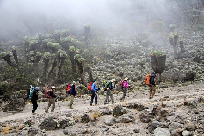 Machame Route 7-Day Private Kilimanjaro Trek - Why the Machame Route is a good seven-day choice