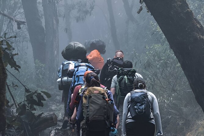 Machame Route 7-Day Private Kilimanjaro Trek - Day one: rainforest from Machame Gate to Machame Camp