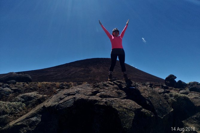 Marangu Route - Middle Days: Climbing Through Changing Scenery