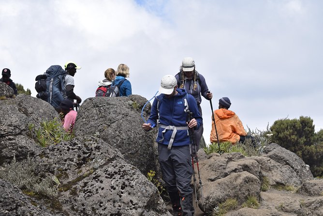 Marangu Route 6 Days 5 Nights/Kilimanjaro Climb - Uhuru Peak and the 15-hour summit day