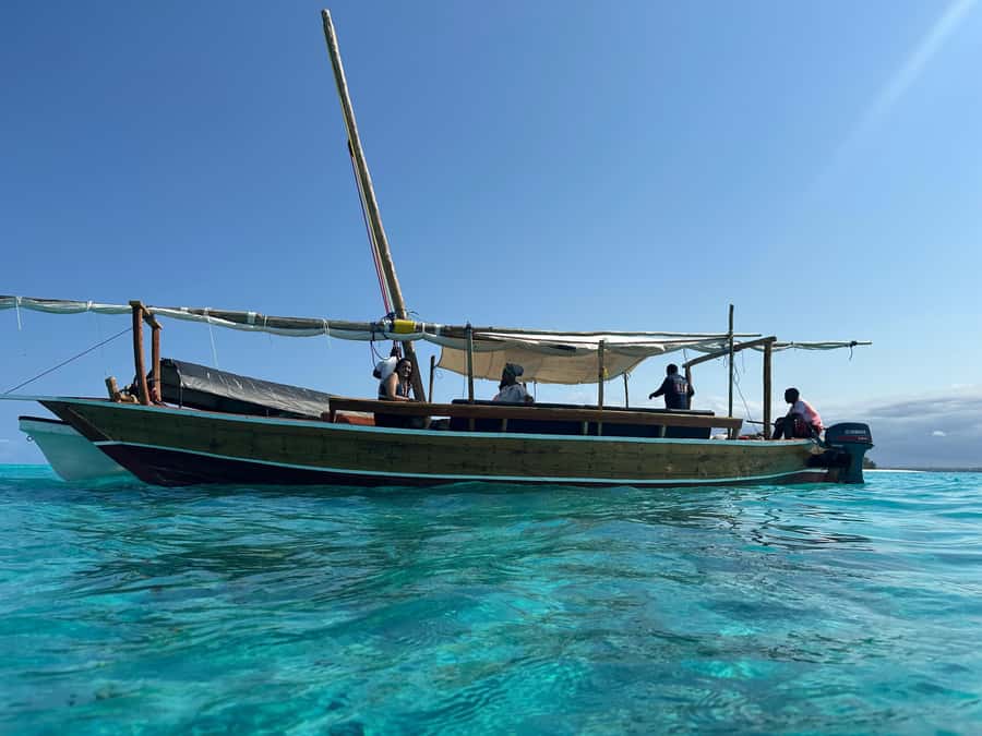 Matemwe: Mnemba Island Dolphin & Snorkeling Boat Trip - Why Mnemba Island makes a good half-day outing