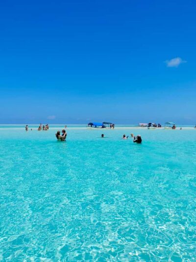 Matemwe: Mnemba Island Dolphin & Snorkeling Boat Trip