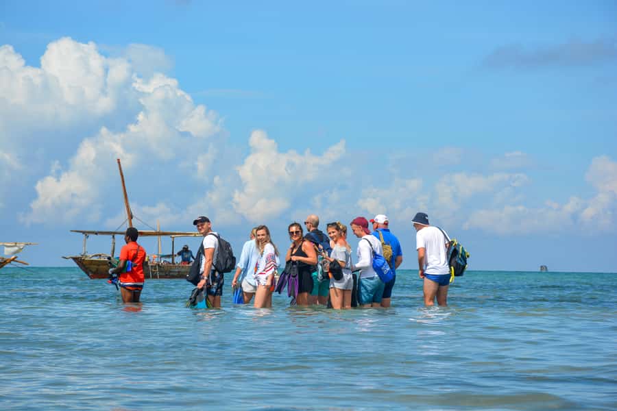 Matemwe: Mnemba Island Dolphin & Snorkeling Boat Trip - Dolphin watching without a guaranteed show