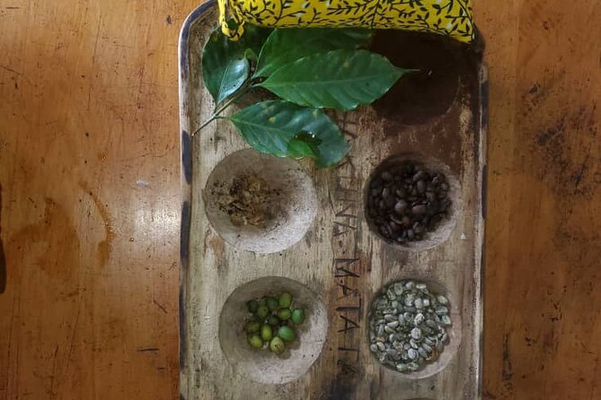Materuni (Coffee Tour) and Chemka (Kikuletwa Tour) - Is $100 a fair price?