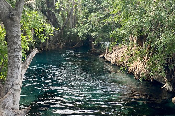 Materuni (Coffee Tour) and Chemka (Kikuletwa Tour) - Materuni Waterfalls and the 45-minute walk
