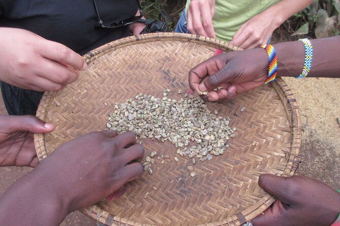 Materuni Thundering Waterfalls,Coffee Experience with Moshi Town Tour - Driving from Moshi to Materuni at 1,800 meters