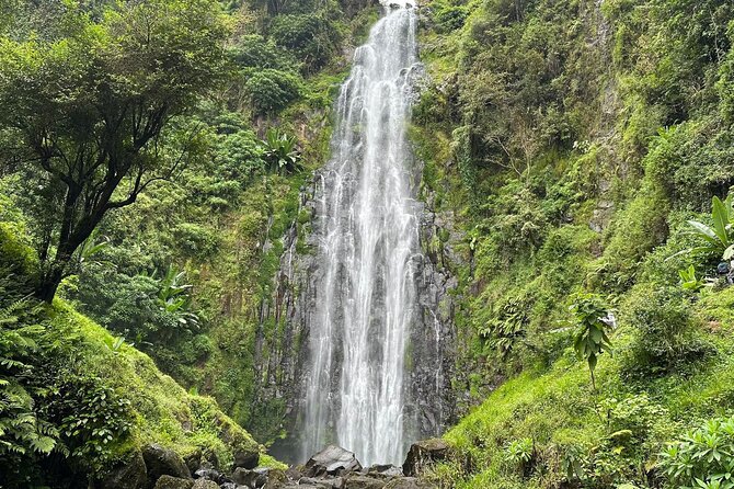 Materuni Waterfall and Coffee Plantation Half Day Tour - Key points at a glance