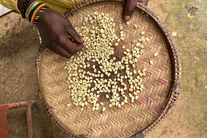 Materuni Waterfall and Coffee Plantation Half Day Tour - Making Arabica coffee by hand