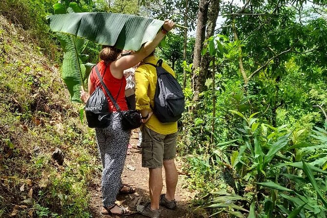 Materuni Waterfall and Kikuletwa Hot Spring Tour - Why this Moshi day trip works so well