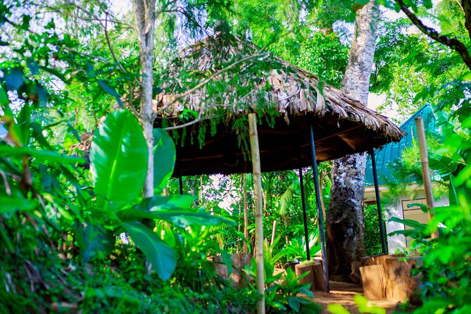 Materuni Waterfall and Kikuletwa Hot Spring Tour - A hot local lunch and traditional banana beer