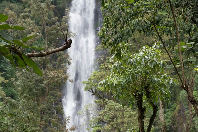 Materuni Waterfall and Kikuletwa Hot Spring Tour - Kikuletwa Hot Springs, or Chemka