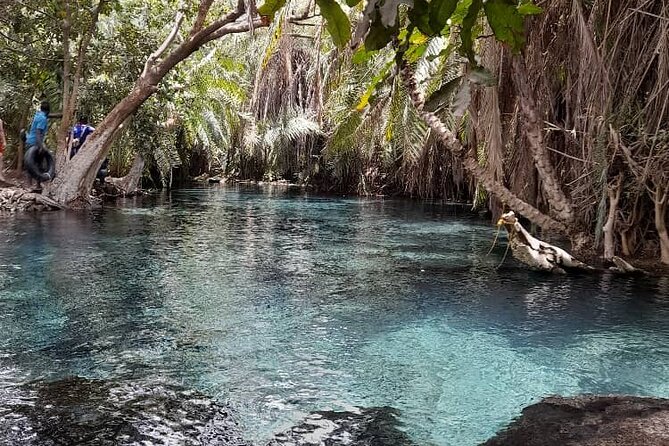 Materuni Waterfall and Kikuletwa Hot Spring Tour - What the $136 price includes