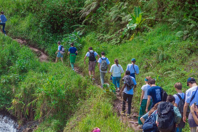 Materuni Waterfall and Kikuletwa Hot Spring Tour - Walking into Materuni village