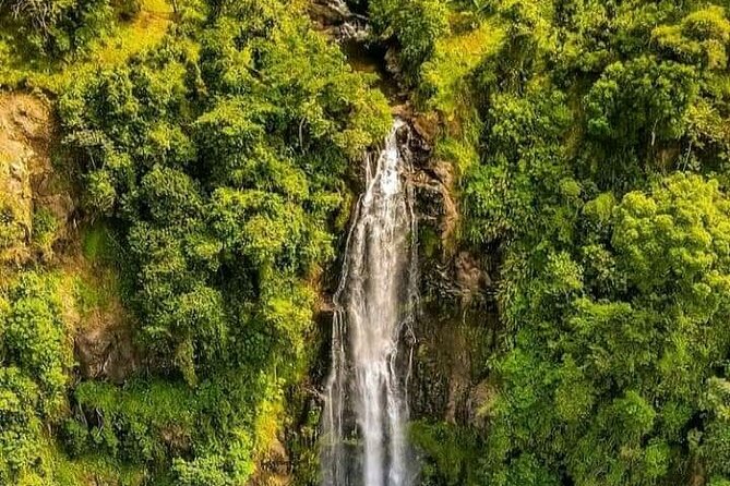 Materuni Waterfall Coffee Tour and Chemka Hot Springs Experience - Walking through Materuni’s green foothills