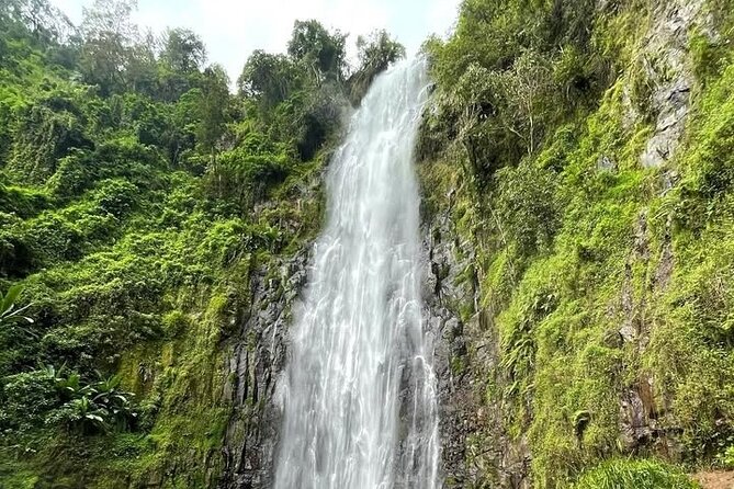 Materuni waterfall , coffee tour and hotsprings (chemka ) - The 8:00 AM ride to Materuni Village