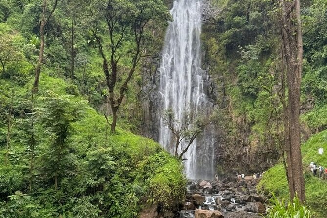 Materuni waterfall , coffee tour and hotsprings (chemka ) - A Chagga coffee session that is hands-on