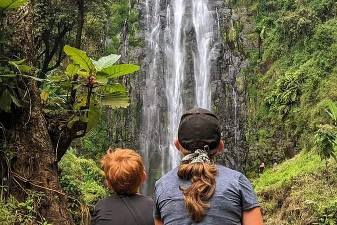 Materuni waterfall , coffee tour and hotsprings (chemka ) - Hiking through the Materuni rainforest