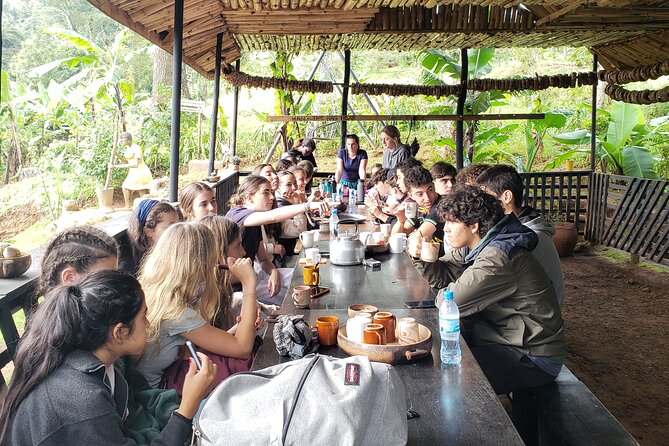 Materuni Waterfall, Coffee Tour and Picnic Hot Lunch - Who Will Enjoy This Most