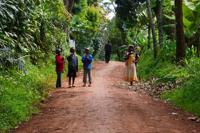 Materuni Waterfall E-Bike Day Trip - Why this Moshi bike trip feels different
