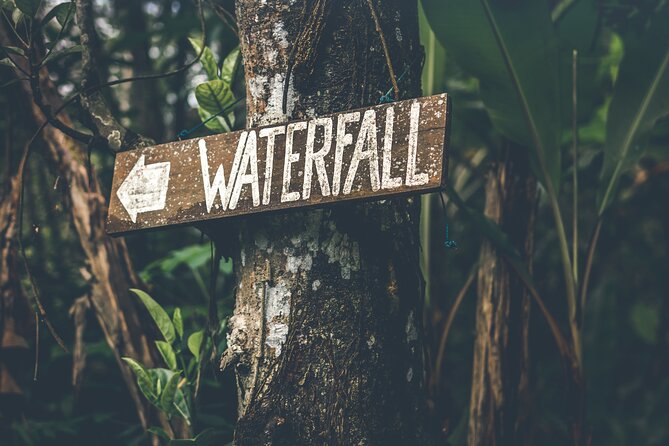 Materuni Waterfall Hike & Coffee Tour - Key points to know before booking