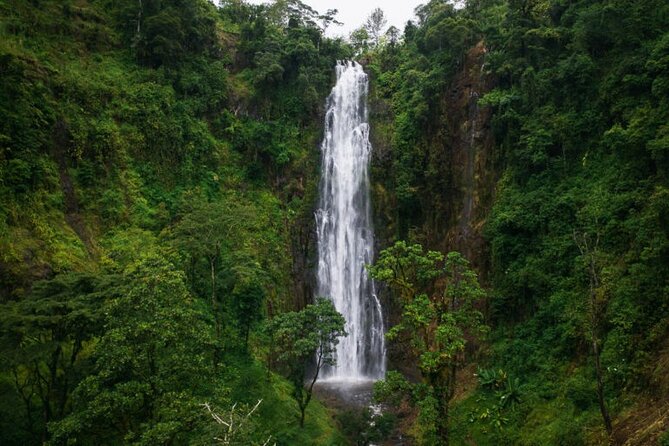 Materuni Waterfall Hike & Coffee Tour - Lunch, water, and the small details that help