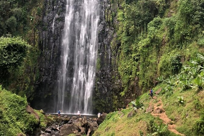 Materuni Waterfall Hike & Coffee Tour - What the feedback tells me about the guides