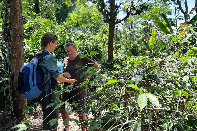 Materuni waterfalls and coffee Tour - Walking to Materuni Waterfalls