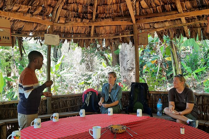 Materuni waterfalls and coffee Tour - What the $80 price really covers