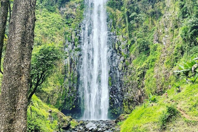 Materuni Waterfalls and Coffee Tour in Moshi - The ride from Moshi to Materuni Village