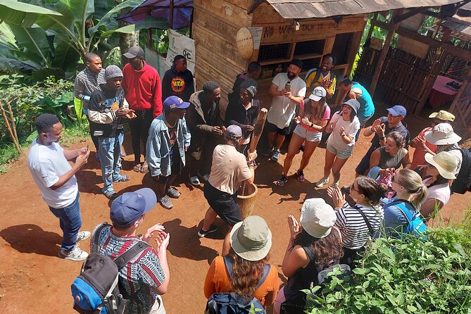 Materuni Waterfalls and Coffee Tour in Moshi - Materuni Falls and the cold-water swim